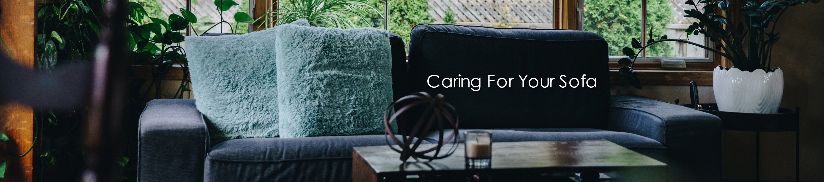 Caring for your sofa