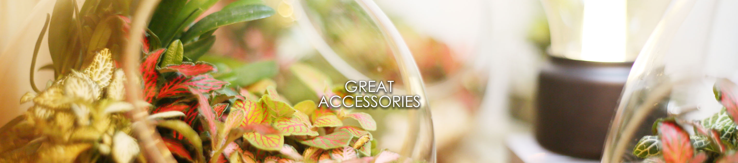 Great Accessories