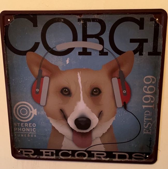 Limited Item - Dog Records
