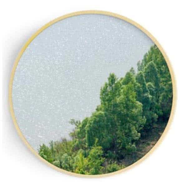 Stockroom Artworks - Circle Canvas Wall Art - Riverside Trees - More Sizes