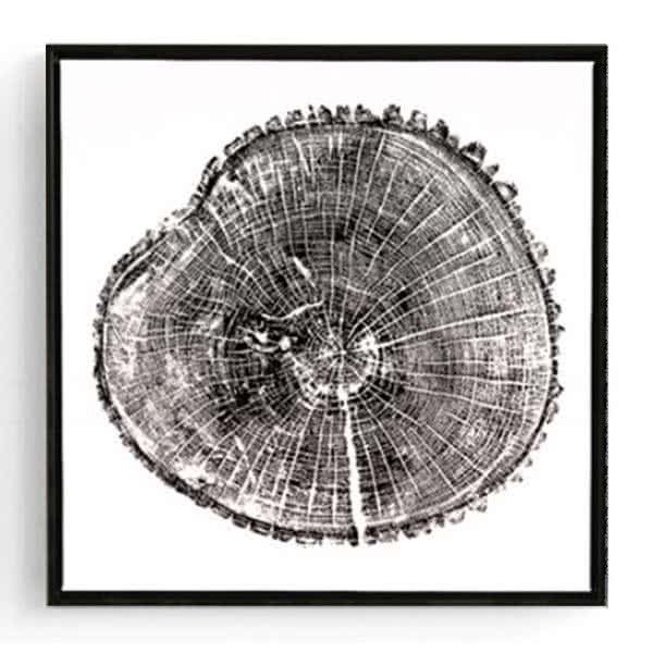 Stockroom Artworks - Square Canvas Wall Art - Tree Rings - Black Frame - More Sizes