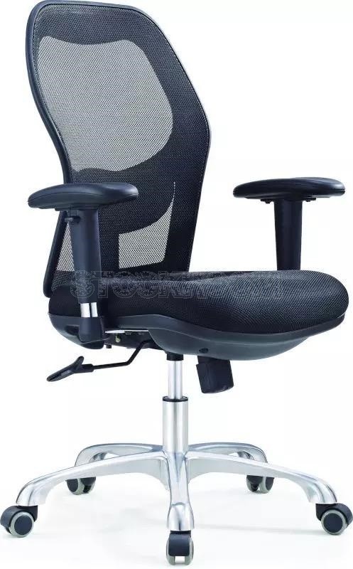 Aeron Style Ergonomic Office Chair