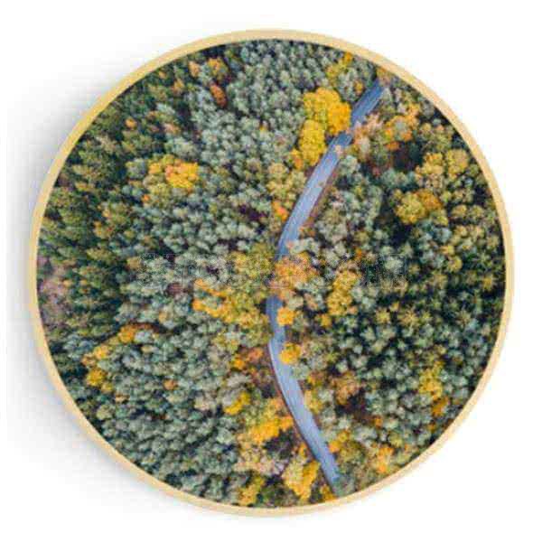 Stockroom Artworks - Circle Canvas Wall Art - Rural Highway - More Sizes