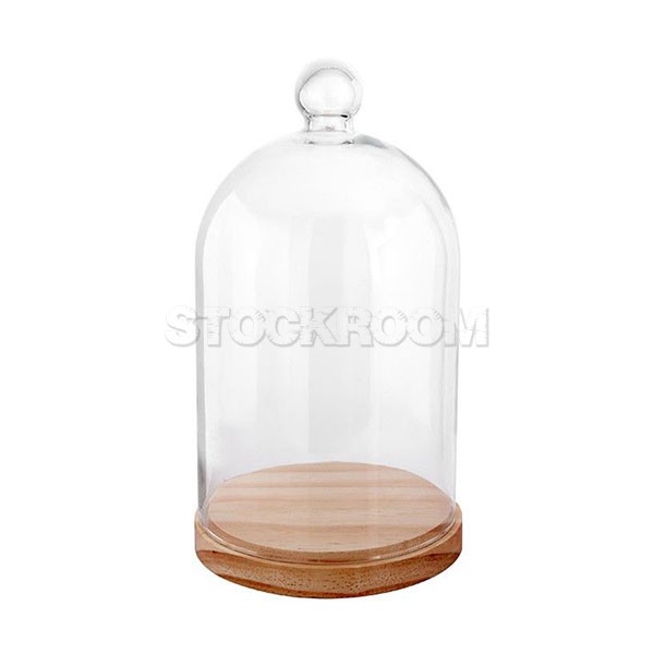 Glass Display Dome with Wooden Base