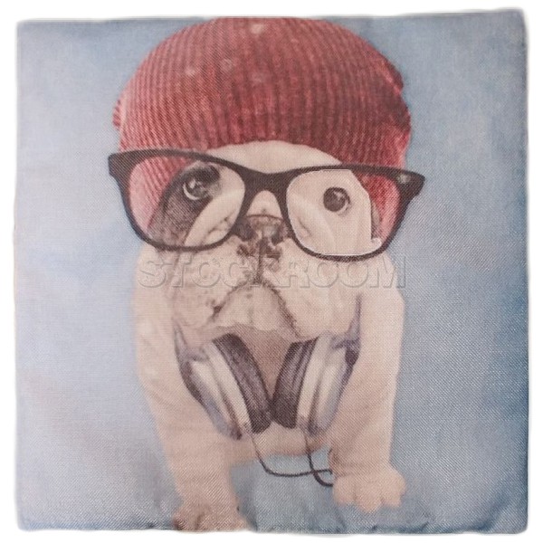 Nerdy French 2 Bulldog Cushion