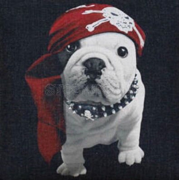 Pirate Bulldog Cushion