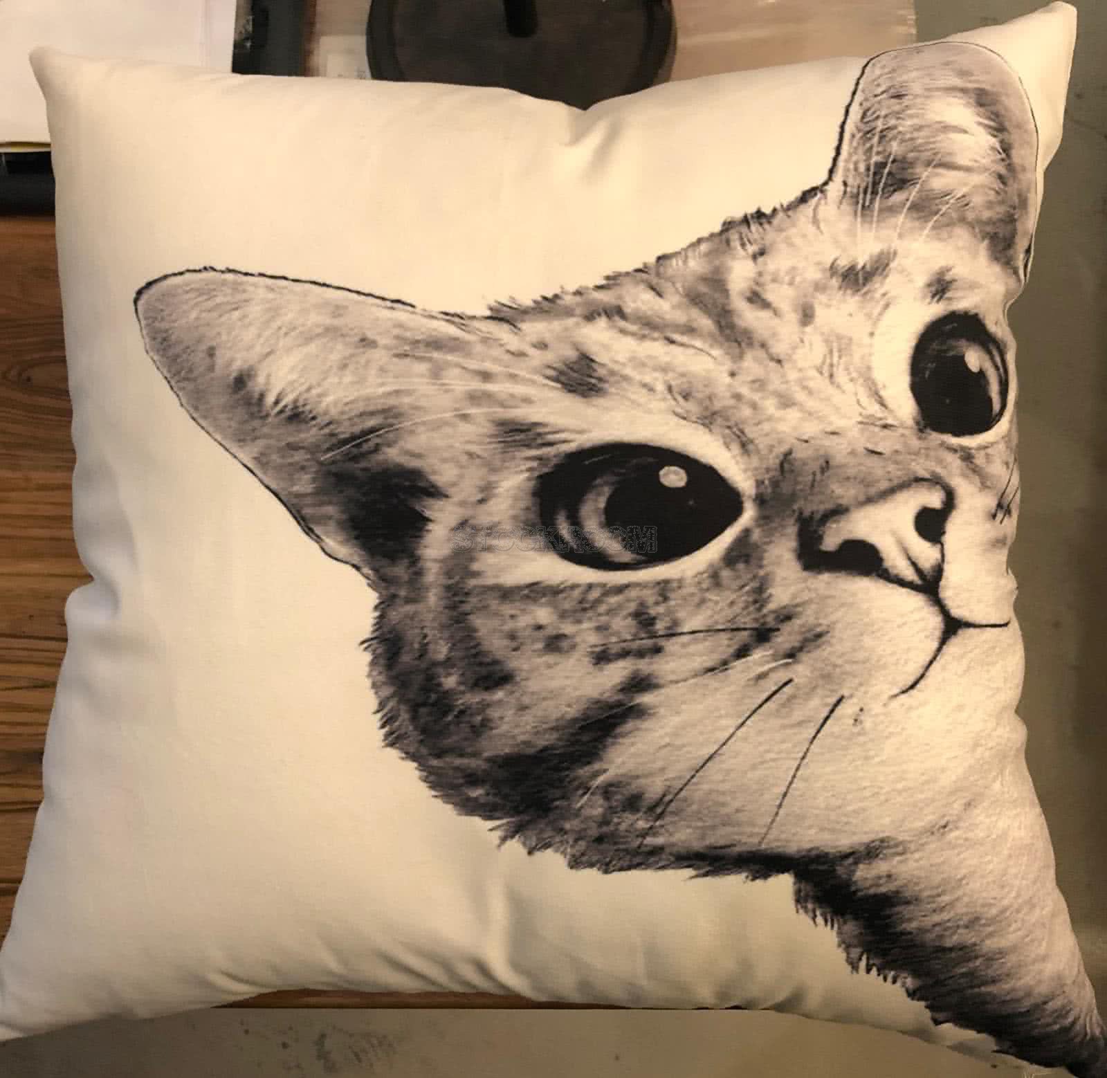 Curious Black Cat Cushion