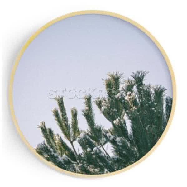 Stockroom Artworks - Circle Canvas Wall Art - Snow Stained Tree - More Sizes
