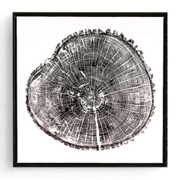 Stockroom Artworks - Square Canvas Wall Art - Tree Rings - Black Frame - More Sizes