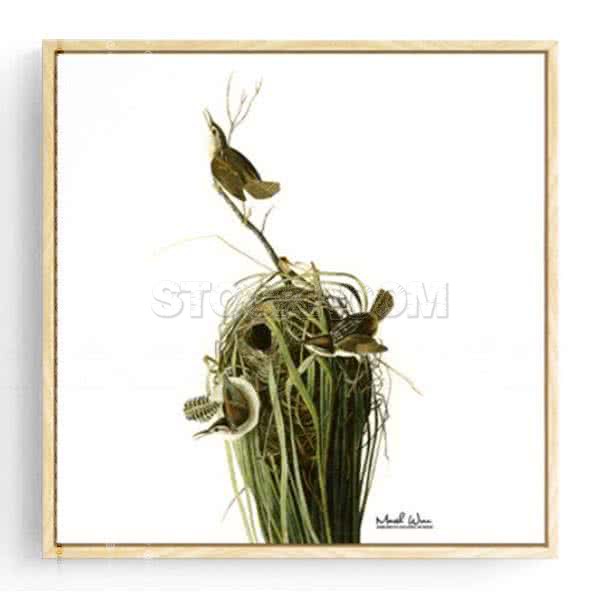 Stockroom Artworks - Square Canvas Wall Art - Three Birds - More Sizes