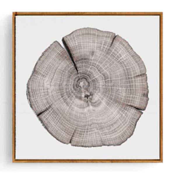 Stockroom Artworks - Square Canvas Wall Art - Tree Rings I - More Sizes