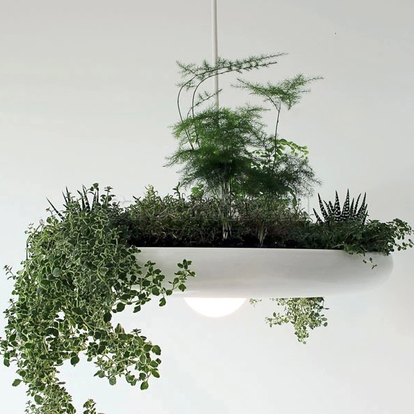 Lavan Garden Plant Pendant Lamp