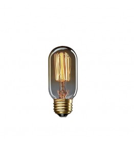 Edison Bulb T45