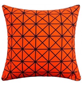 Crodox Decorative Cushion