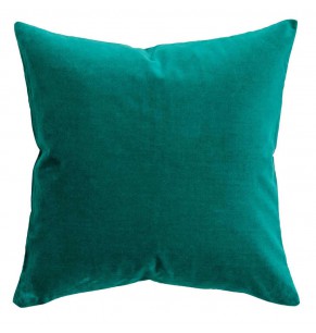 Amico Cushion