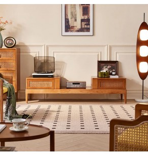 Christie Style Solid Wood Rattan Home TV Cabinet with 2 Drawers