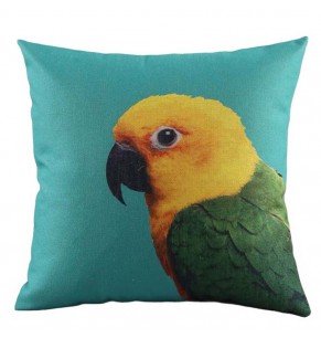 Colorful Parrot 2 Decorative Cushion