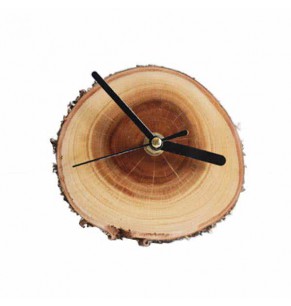 Natural Tree Trunk Desk Clock