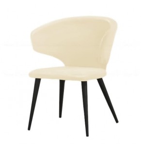 Gentiana Leather Upholstered Armchair 