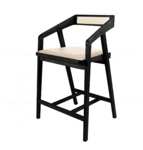 Nadine Leather Upholstered Wood Bar stool