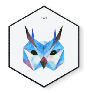 Stockroom Artworks - Hexagon Canvas Wall Art - Bluetone Geometric Owl - More Sizes