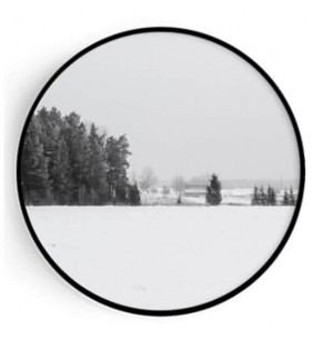 Stockroom Artworks - Circle Canvas Wall Art - Monochrome Trees - More Sizes