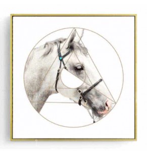 Stockroom Artworks - Square Canvas Wall Art - Sleepy White Horse - More Sizes