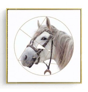 Stockroom Artworks - Square Canvas Wall Art - Hairy White Horse - More Sizes