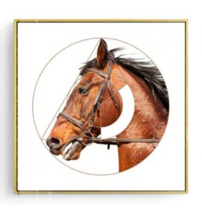 Stockroom Artworks - Square Canvas Wall Art - Hairy Brown Horse - More Sizes