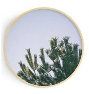 Stockroom Artworks - Circle Canvas Wall Art - Snow Stained Tree - More Sizes