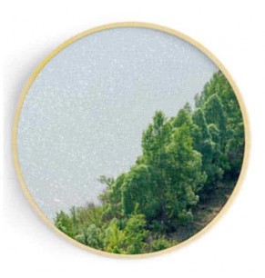 Stockroom Artworks - Circle Canvas Wall Art - Riverside Trees - More Sizes