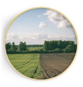 Stockroom Artworks - Circle Canvas Wall Art - Pastoralism - More Sizes