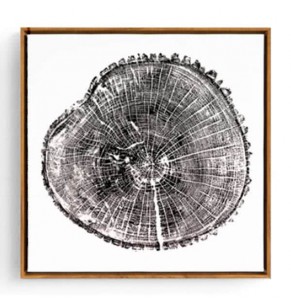 Stockroom Artworks - Square Canvas Wall Art - Tree Rings - Wood Frame - More Sizes