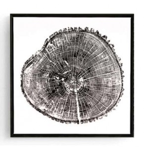 Stockroom Artworks - Square Canvas Wall Art - Tree Rings - Black Frame - More Sizes