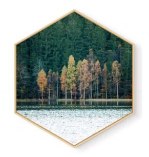 Stockroom Artworks - Hexagon Canvas Wall Art - Lakeside - More Sizes