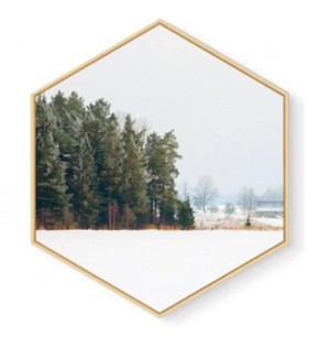 Stockroom Artworks - Hexagon Canvas Wall Art - Forrest - More Sizes