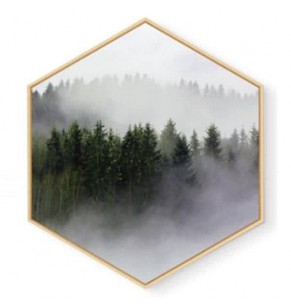 Stockroom Artworks - Hexagon Canvas Wall Art - Foggy Forrest - More Sizes