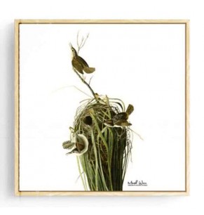 Stockroom Artworks - Square Canvas Wall Art - Three Birds - More Sizes