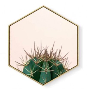 Stockroom Artworks - Hexagon Canvas Wall Art - Blush Pink Cactus - More Sizes