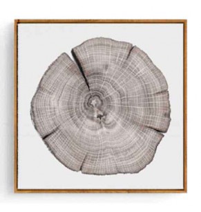 Stockroom Artworks - Square Canvas Wall Art - Tree Rings I - More Sizes