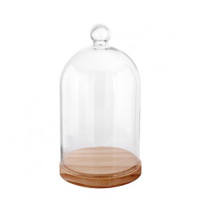 Glass Display Dome with Wooden Base
