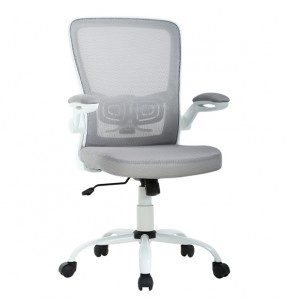 Gregor Contemporary Ergonomic Office Chair with Castors