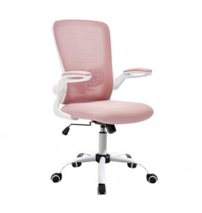 Gregor Contemporary Ergonomic Office Chair with Castors