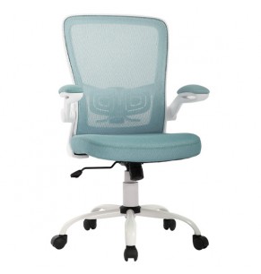 Gregor Contemporary Ergonomic Office Chair with Castors