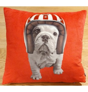 Helmet Bulldog Cushion