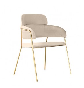 Madsen Velvet Chair with Brass Frame