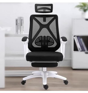 Merlin Ergonomic Office Chair