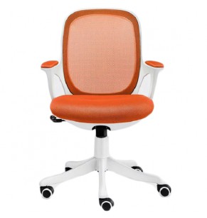 Organic Mesh Office Chair