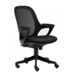 Organic Mesh Office Chair