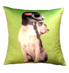 Pilot Bulldog Cushion 1